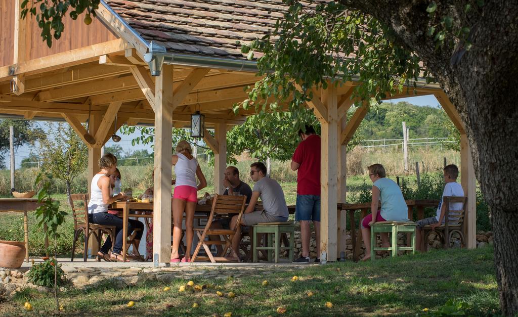 ホテル Edenkert Vendeghazak Pécsvárad エクステリア 写真