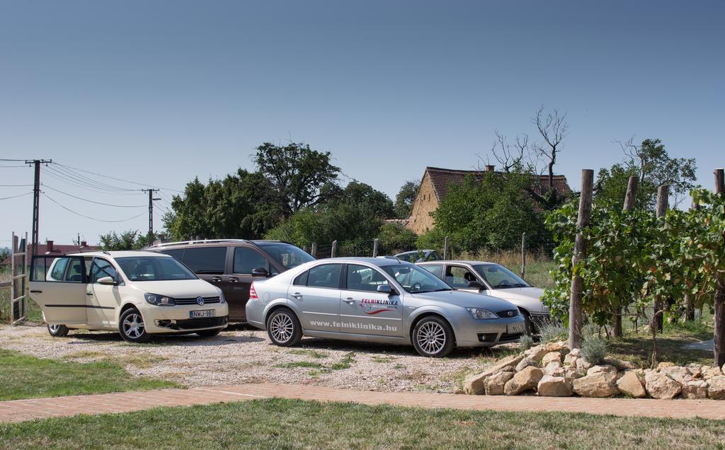 ホテル Edenkert Vendeghazak Pécsvárad エクステリア 写真